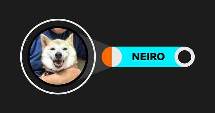 什么是Neiro(NEIRO)币？谁创立了Neiro(NEIRO)？如何运作？